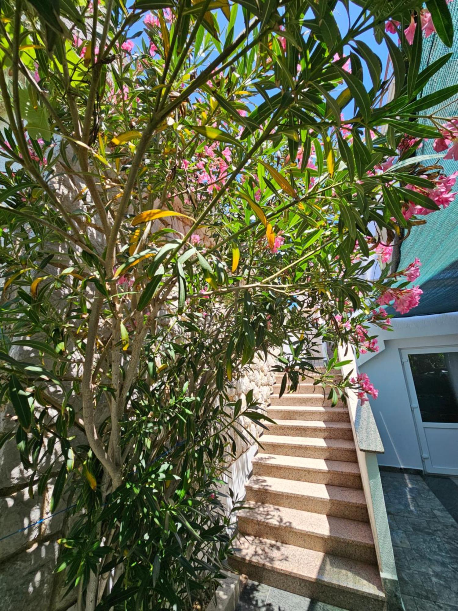 Apartments Bahar Krk Krk Town Εξωτερικό φωτογραφία